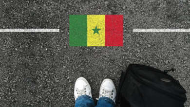senegal vize başvurusu